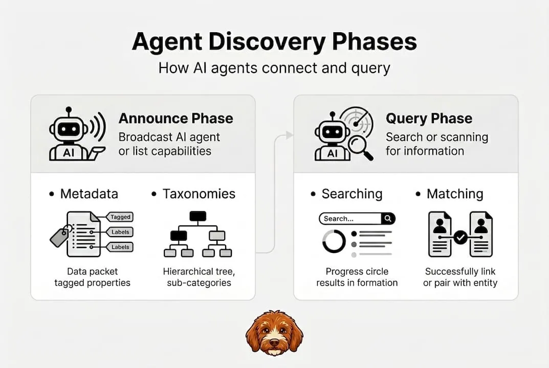 Infographic outlining agent discovery process stages